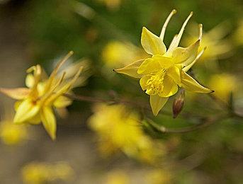 光荣《维纳斯璀璨假期：死或生沙滩排球》正式公开